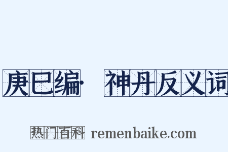 庚巳编·神丹反义词是什么意思的图片